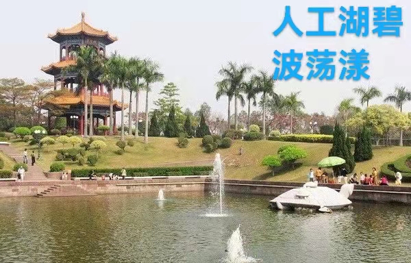 深圳莲花山公园｜作者丁培恭｜海外头条（图5）