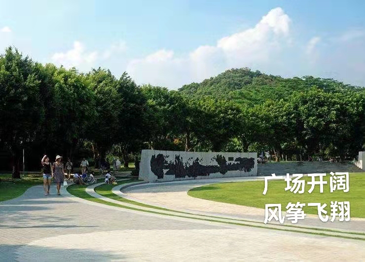 深圳莲花山公园｜作者丁培恭｜海外头条（图6）