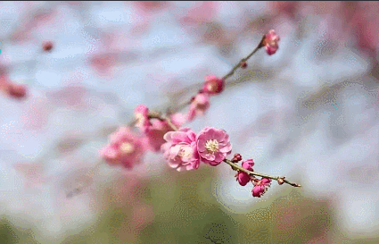 074807759.gif 30db4000d0c71018d923e92fbb7fe376_e65cbba6e50040a6b9435c9b5b5878af.gif