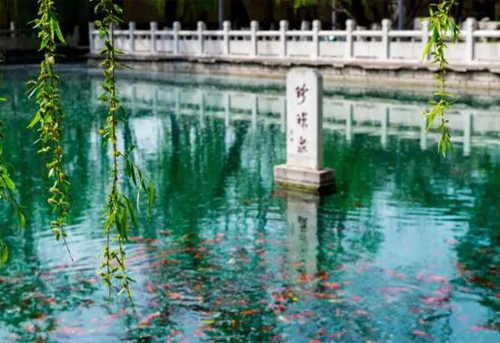 都市名家:济南四大名泉吟//耿建华(图3)