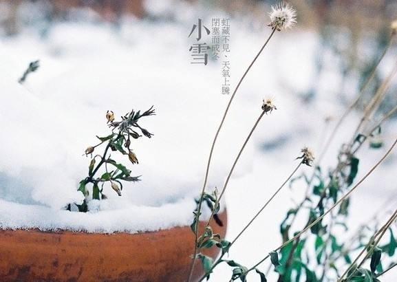 守住道德底线，就是一个人最高贵的道德素养——读马拉的短篇小说《歌德哀歌》有感//柳志明