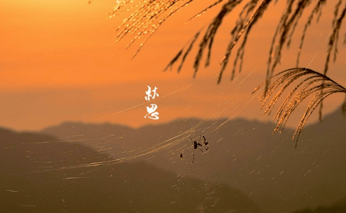 《原创》江城子.秋思：文／马德武（陕西韩城）（图3）