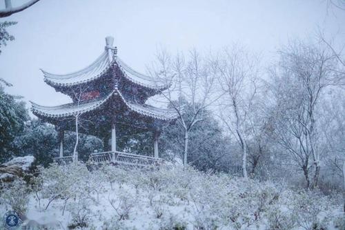 联机全球发布张秀祥精品诗歌（图6）