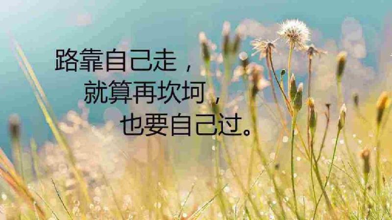 【潇湘文学社】诗人王继杰《百自集》（总225期）（图7）