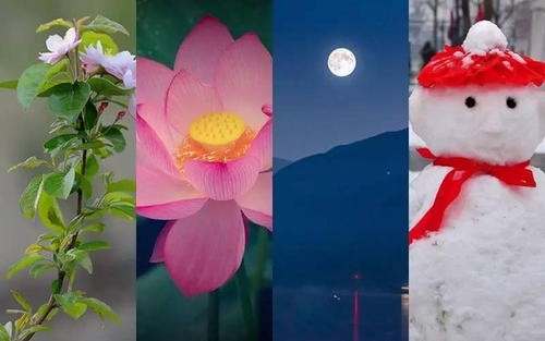【经典推荐】张建国老师//七律•火车运雪忙｛外二首｝（图9）