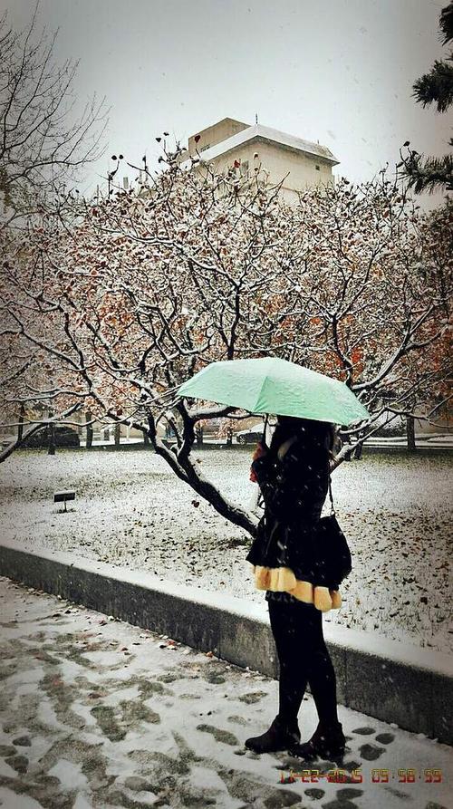 【新山东文学社】《雪中感悟》作者/边风 主播/苏宁（图3）