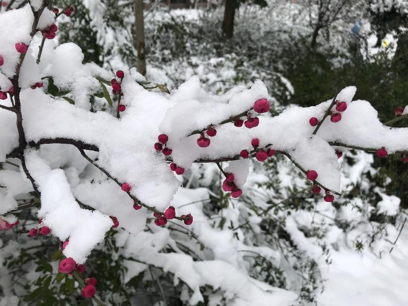 小雪感怀 作者 寒梅傲雪〔河北〕【冰心文化传媒】（图6）