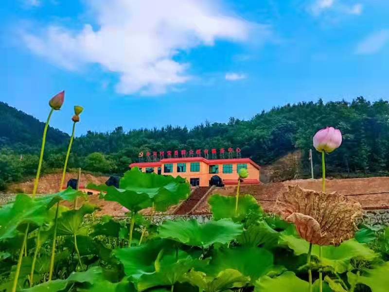 河南：鲁山县团城乡以田园党建赋能乡村振兴（图2）