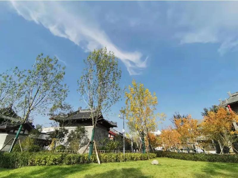 【诗歌】穿越塔茂 ∥ 李炫征（图16）