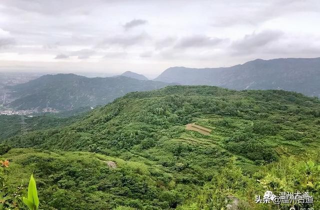 【潇湘文学社】潇湘陶菊诗社《茶》(总228期)(图8)
