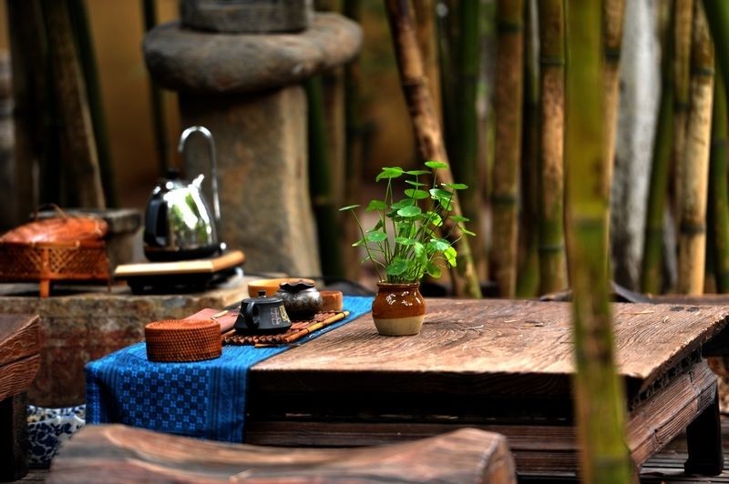 【潇湘文学社】潇湘陶菊诗社《茶》(总228期)(图9)
