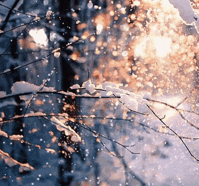七律 大雪抒怀 五首 文/杨振国(北京)京津沪头条(图2)