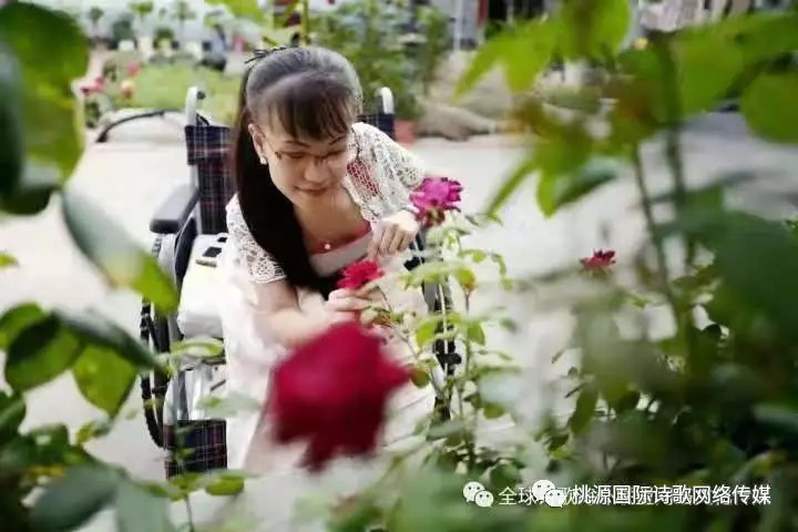 【桃源馨声】最卑微的依旧‖作者:刘小丽‖主播:知语【总1038期】（图8）