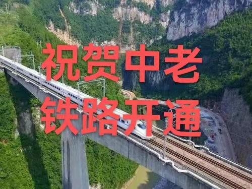 祝贺中老铁路开通：作者丁培恭｜海外头条（图2）