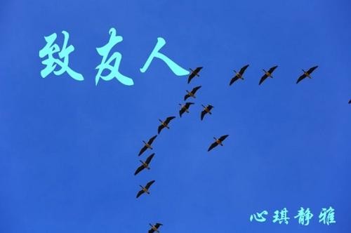 《诗歌原创》致友人（外一首）作者／杨毅波（陕西西安）（图4）