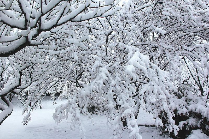 《今日大雪》五言诗.大雪五首：文／马德武（陕西韩城）（图8）
