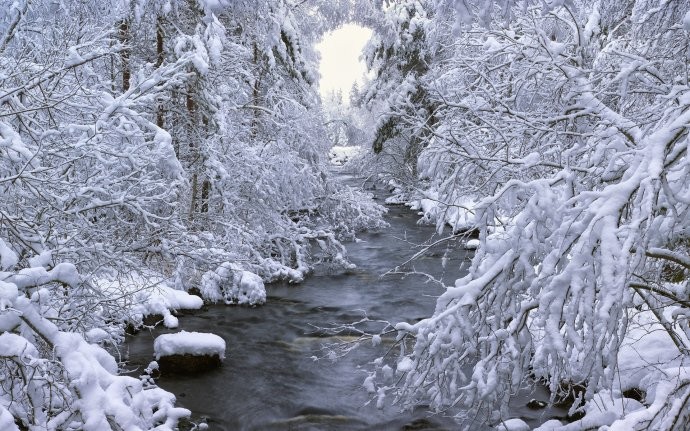 《今日大雪》五言诗.大雪五首：文／马德武（陕西韩城）（图10）