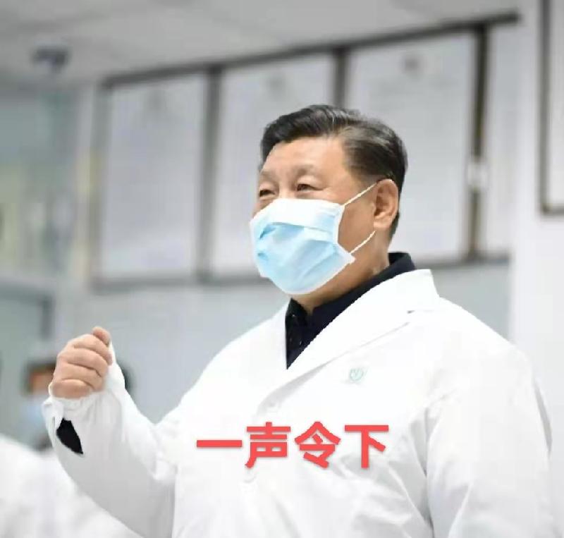 抗疫纪实（简约篇）作者丁培恭｜海外头条（图5）