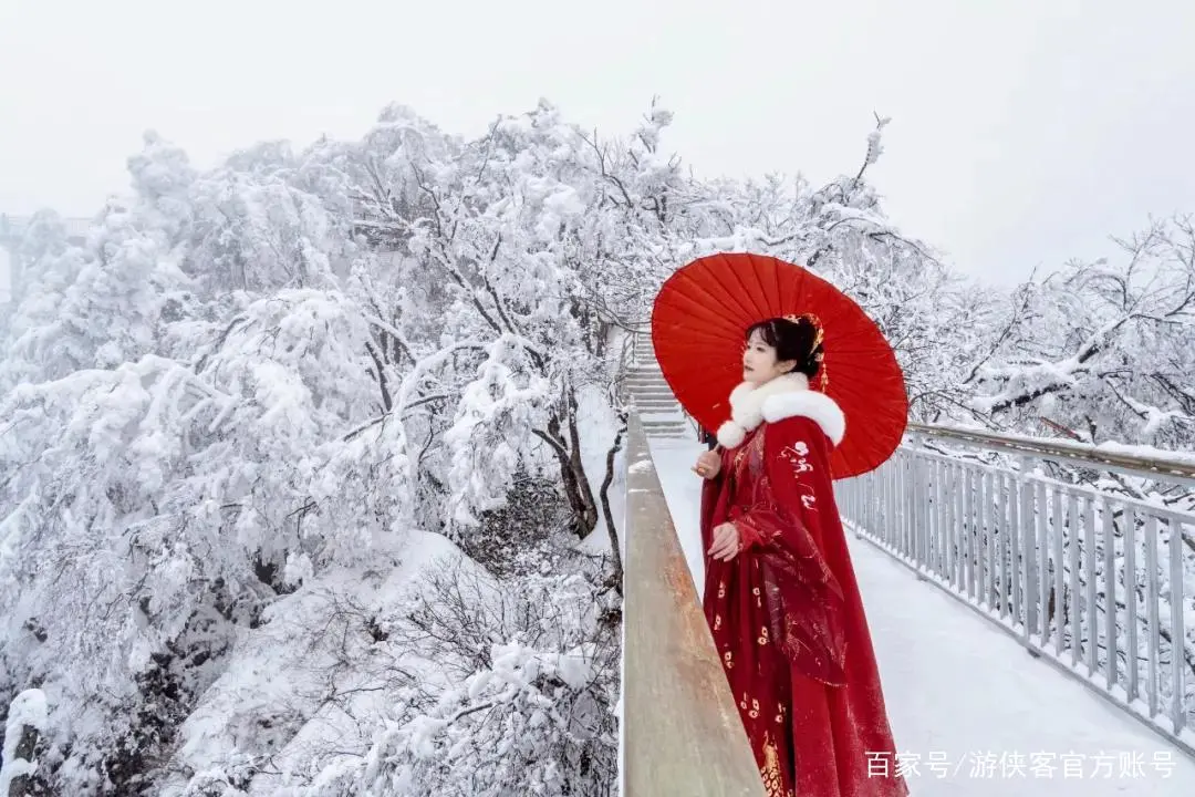 彦忠诗词《蝶恋花. 看秋菊、神羊视屏题》主播：晨风 编辑：香乡【北疆头条】（第121期）（图4）