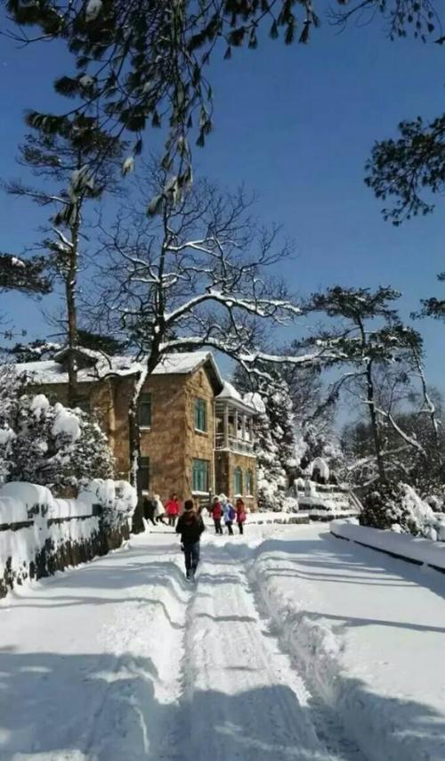 【新山东文学社】《雪后的小镇》作者/褚向平 主播/吴涵伟（图3）