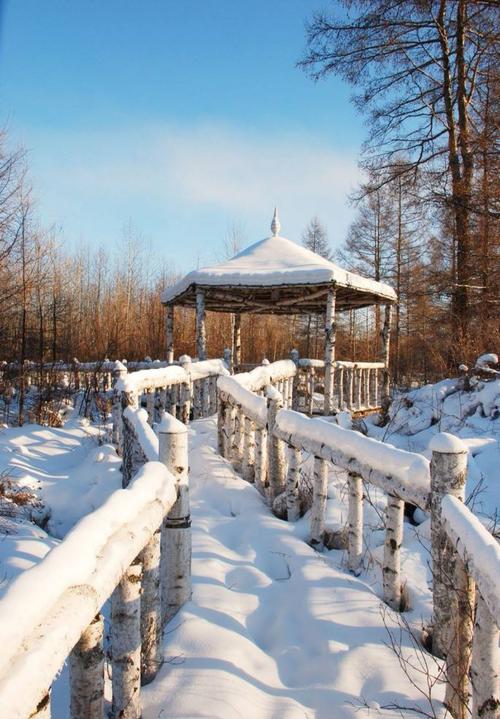 【新山东文学社】《雪后的小镇》作者/褚向平 主播/吴涵伟（图5）