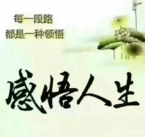 【新山东文学社】《感悟》作者/樊志刚 主播/海豚（图3）