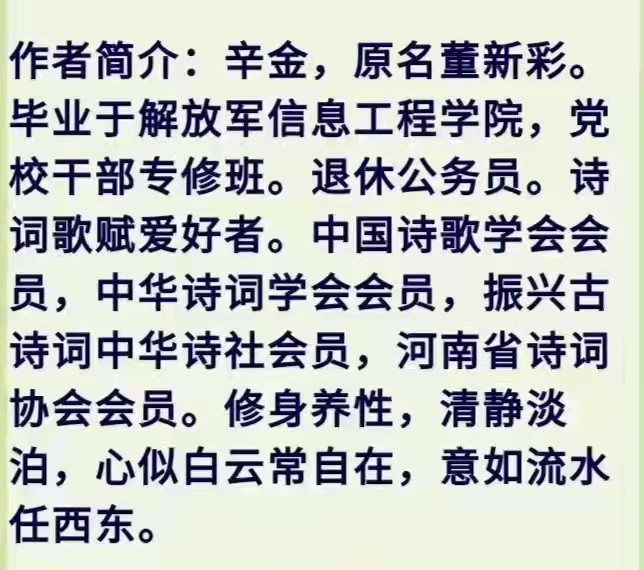都市头条●京津沪同题古诗词《雪》有奖征稿获奖老师作品专辑展示（图24）
