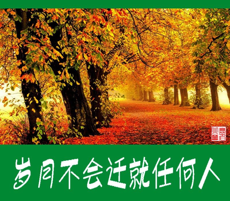 【潇湘文学社】潇湘陶菊诗社《岁杪辑》(总233期)(图13)