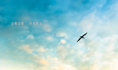 【潇湘文学社】潇湘陶菊诗社《岁杪辑》(总233期)(图11)