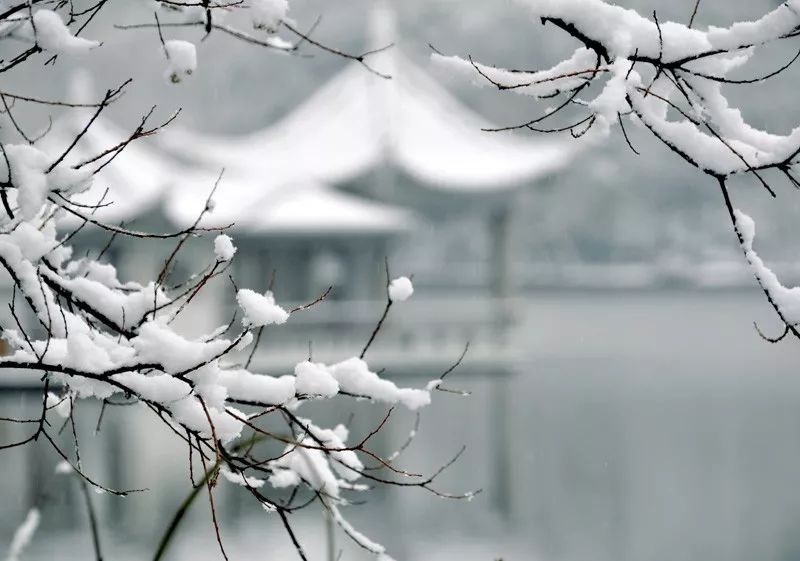 白沙《大雪,一次悲壮的感悟》金牌主播雯煜编辑:宋梅【中国长江文学社】有声文学平台第2991期(图4)