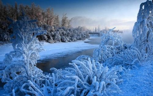 〔诗词小辑〕如梦令.雪· 文/齐宪（黑龙江）【冰心文化传媒】（图9）