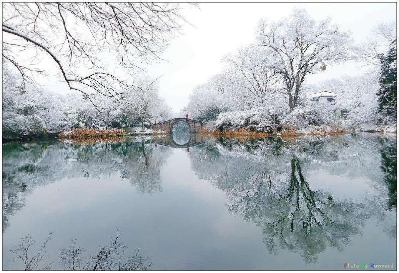 〔诗词小辑〕如梦令.雪· 文/齐宪（黑龙江）【冰心文化传媒】（图11）