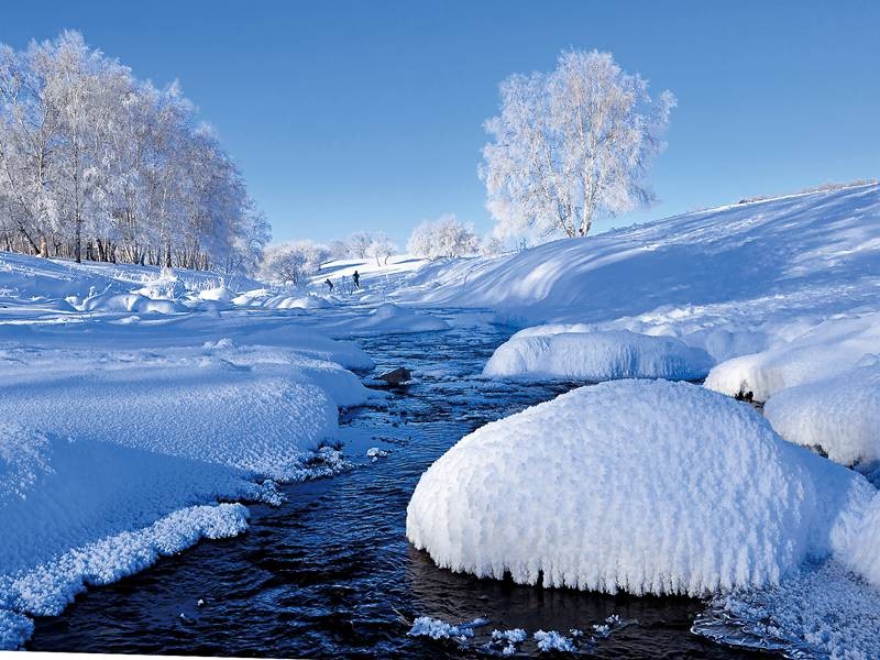 〔诗词小辑〕如梦令.雪· 文/齐宪（黑龙江）【冰心文化传媒】（图4）