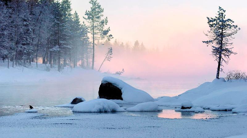 〔诗词小辑〕如梦令.雪· 文/齐宪（黑龙江）【冰心文化传媒】（图6）