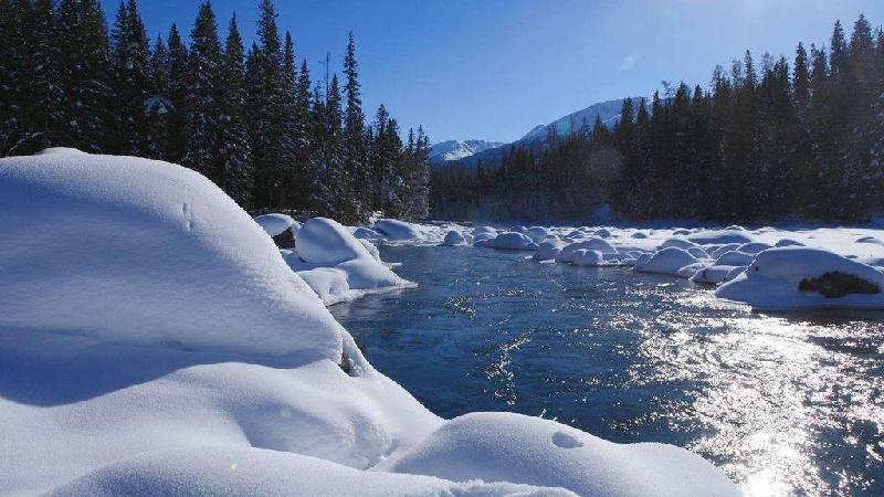 〔诗词小辑〕如梦令.雪· 文/齐宪（黑龙江）【冰心文化传媒】（图8）