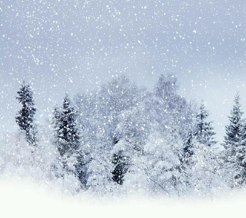 张学农老师倾情演绎叶小雪老师的精品佳作：从此我喜欢的人都很像你｜海外头条（图3）