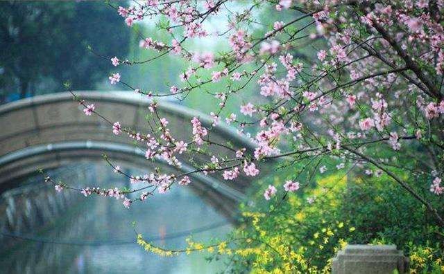 〔格律诗小辑〕作者 祁格林 （河南）【冰心文化传媒】（图6）