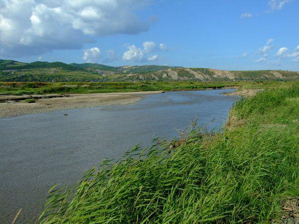 乘风破浪勇往直前(外一首)/李景和
