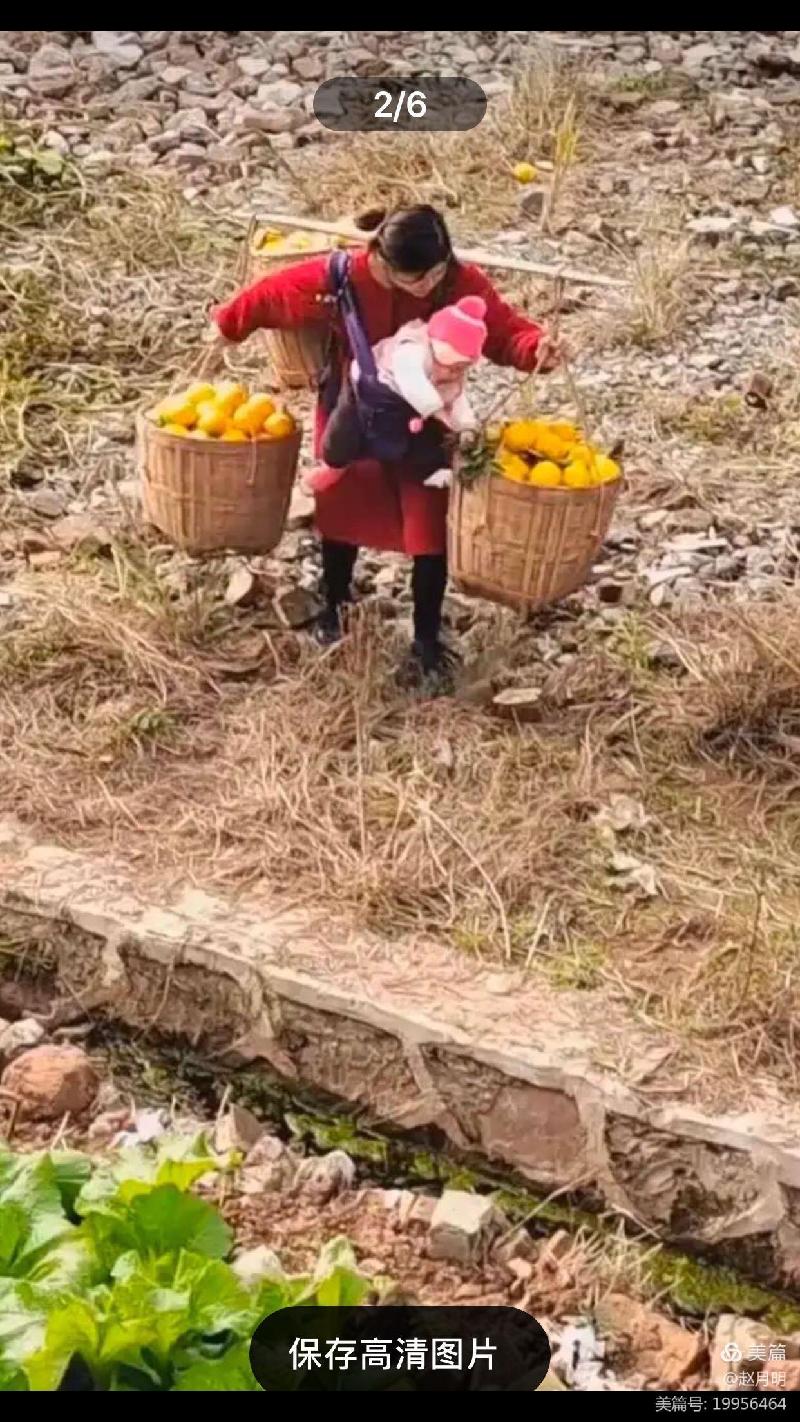 赵月明: 写给追梦路上的一位年轻妈妈(图2)