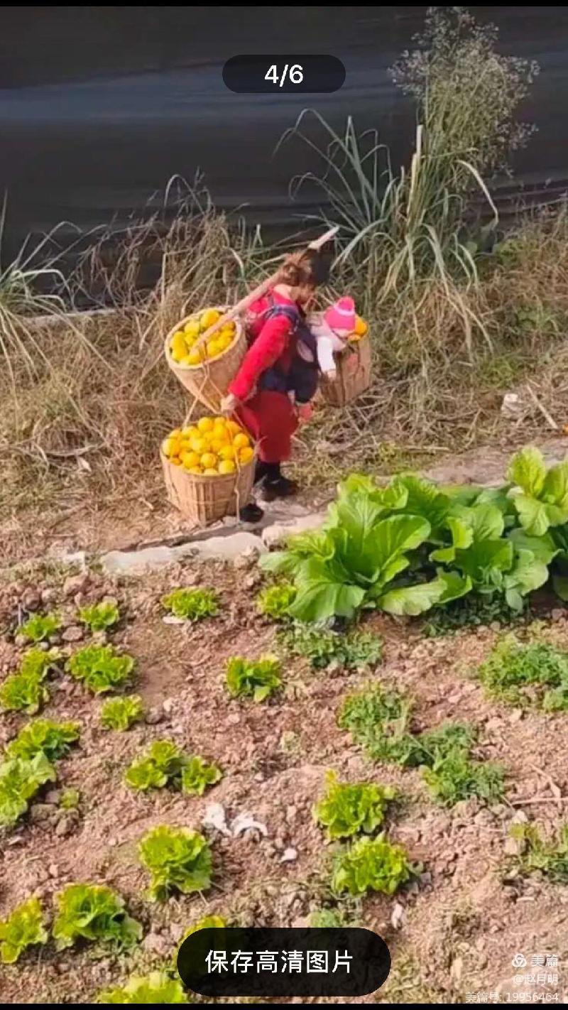 赵月明: 写给追梦路上的一位年轻妈妈(图4)