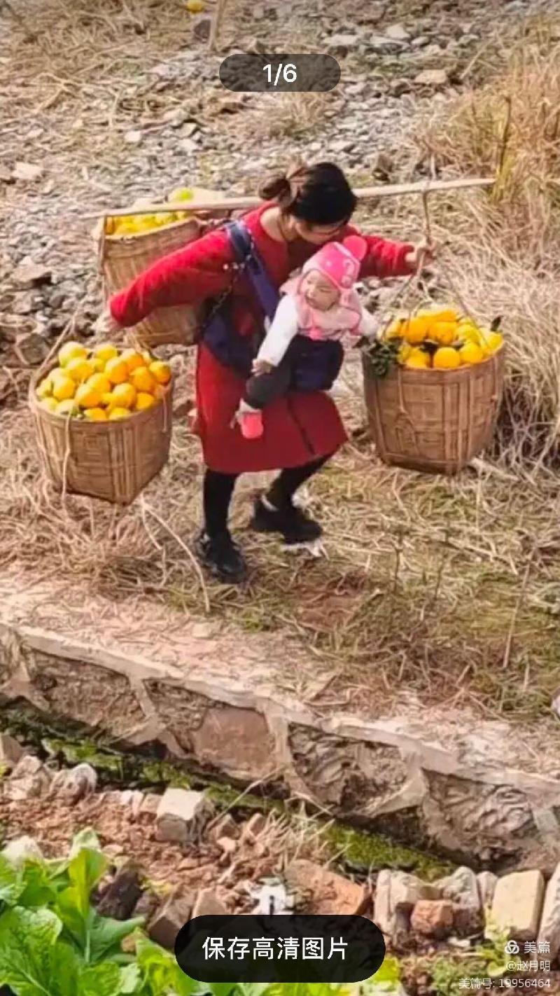 赵月明: 写给追梦路上的一位年轻妈妈