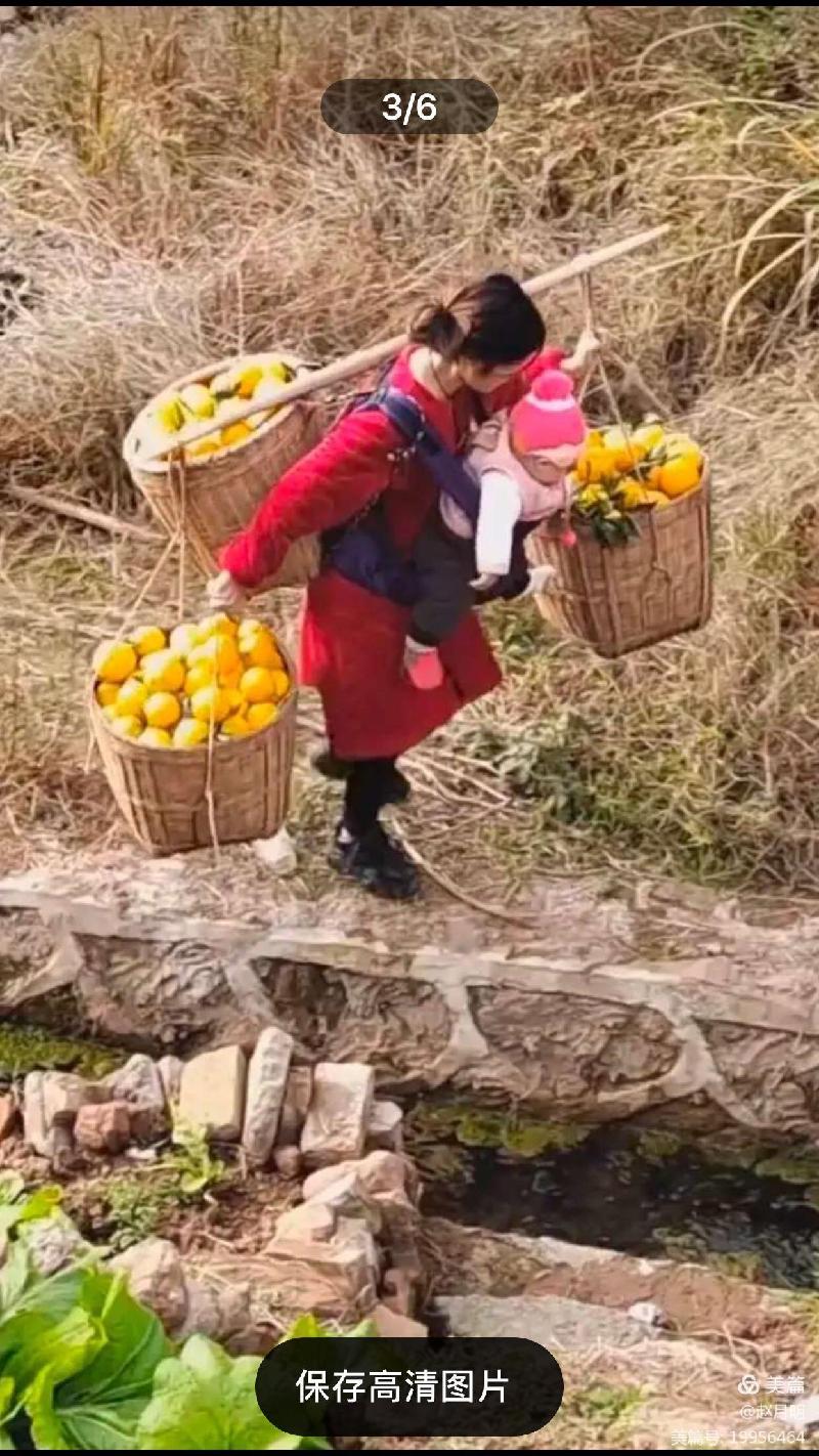 赵月明: 写给追梦路上的一位年轻妈妈(图3)