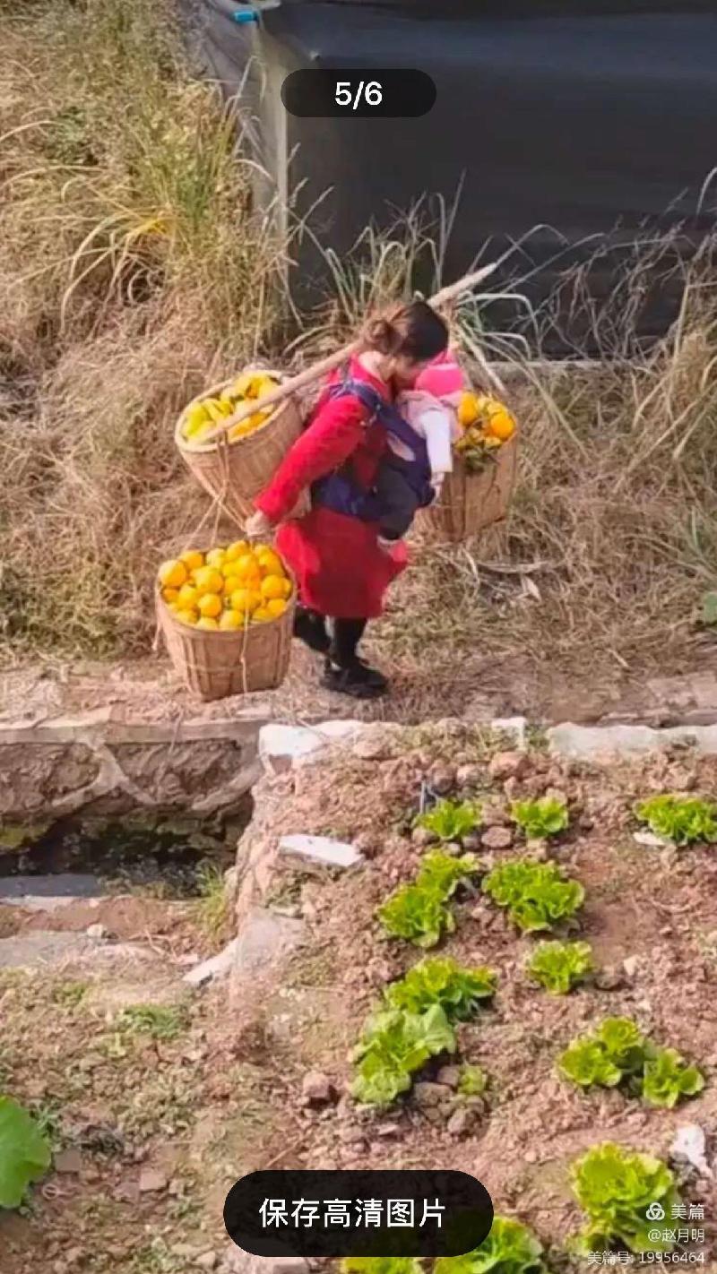 赵月明: 写给追梦路上的一位年轻妈妈(图5)