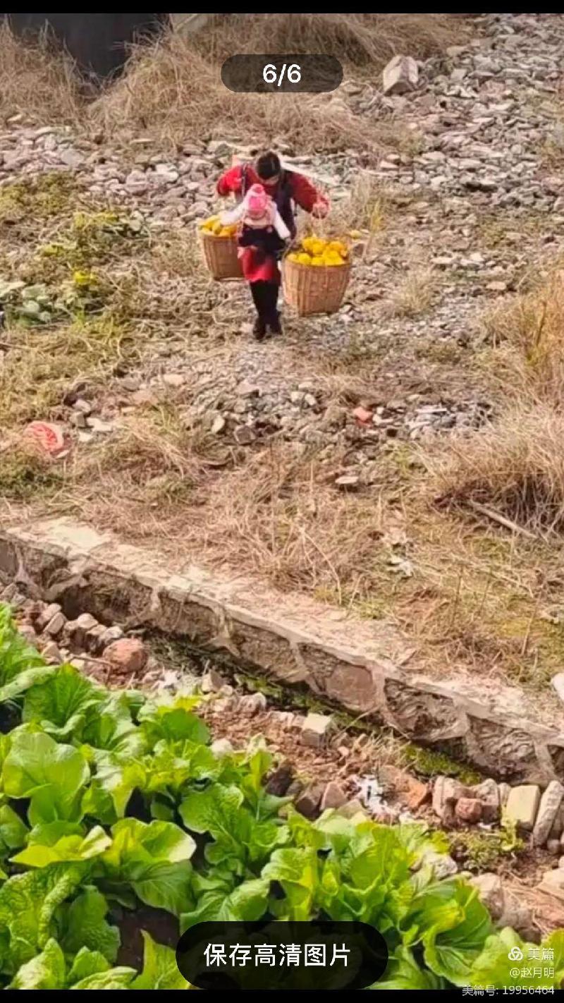 赵月明: 写给追梦路上的一位年轻妈妈(图6)