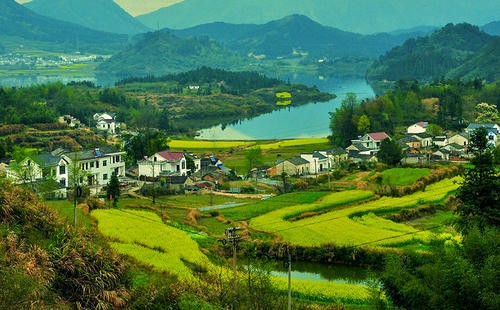 【新时代】杨武军//乡村建起排污水站｛欣赏｝（图4）