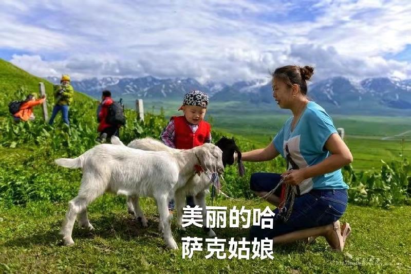 美丽的那拉提（叙事散文诗）作者丁培恭｜海外头条（图4）