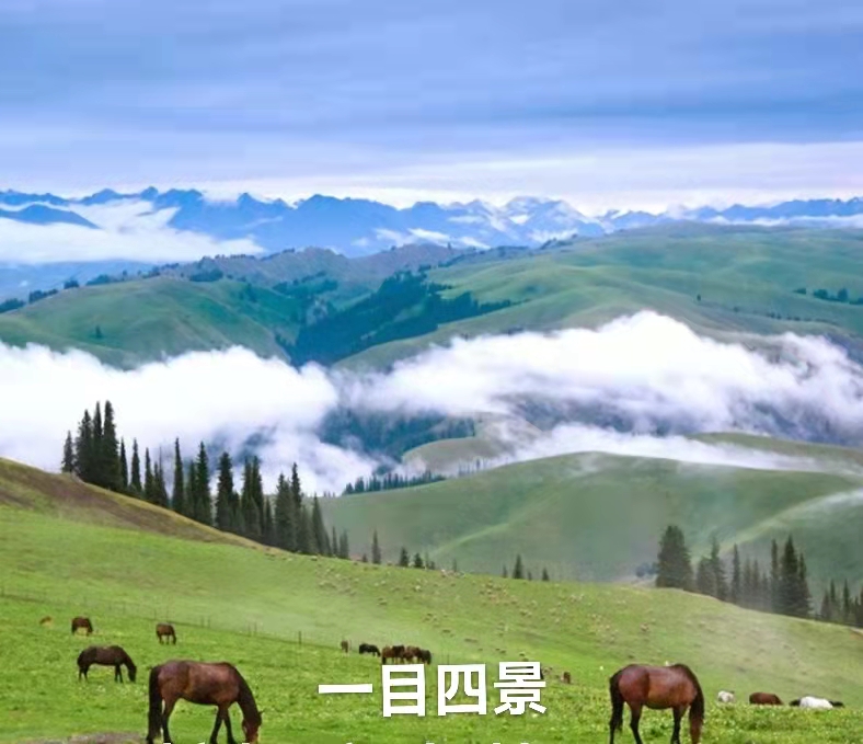 美丽的那拉提（叙事散文诗）作者丁培恭｜海外头条（图5）
