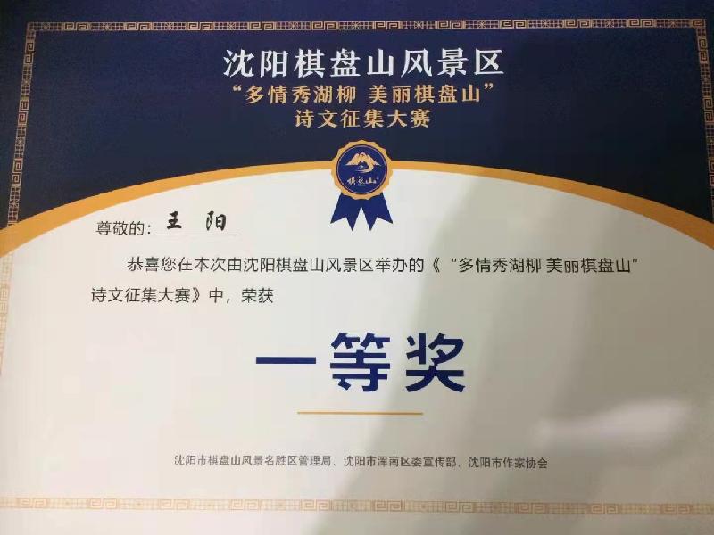 靳颖老师倾情演绎王阳老师的作品:棋盘山水四季情|海外头条(图2)