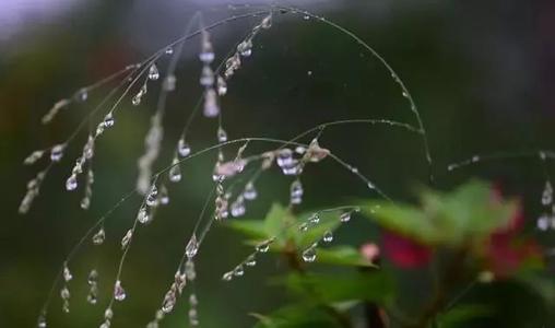七绝 露 文／姜和村（陕西）（图2）
