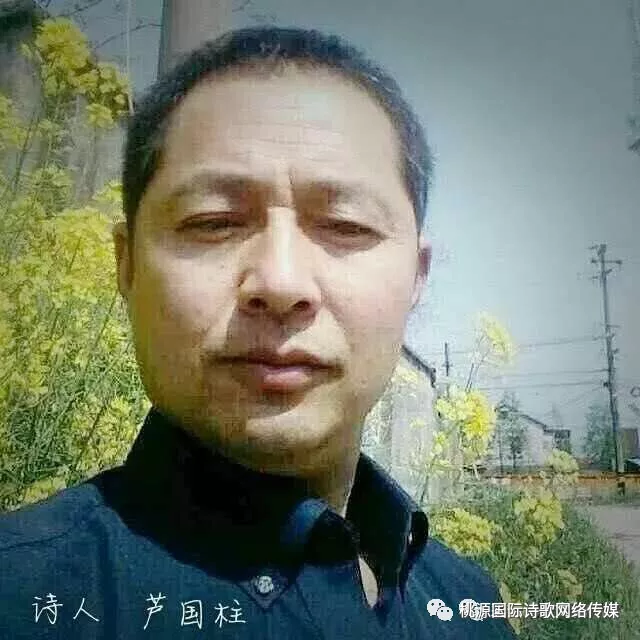 【桃源馨声】冬天的诗|作者:芦国柱|主播:铿锵玫瑰【总1043期】（图8）